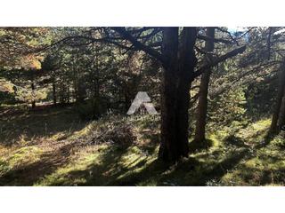 Terreny residencial  Nanes verdes. Venta de parcela en port del comte
