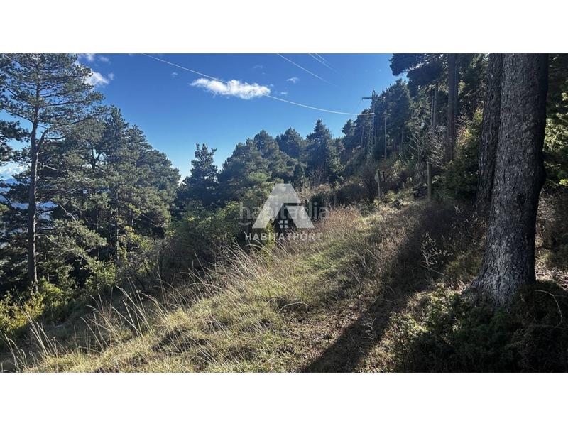 Foto 9f489eb5-f726-4a14-8209-df452214e6f0. Terreny residencial a Coma i la Pedra (La)