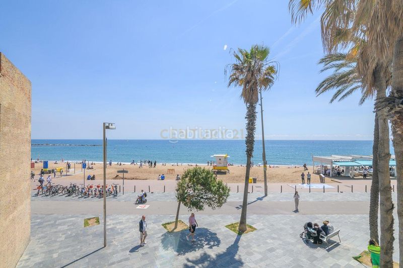 Foto 17e18fe6-b1a1-4c65-89fe-e845a5b4e27c. Pis a Barceloneta Barcelona