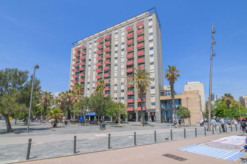 Foto 86ee76fa-82d3-4a75-8503-0885b545676b. Pis a Barceloneta Barcelona
