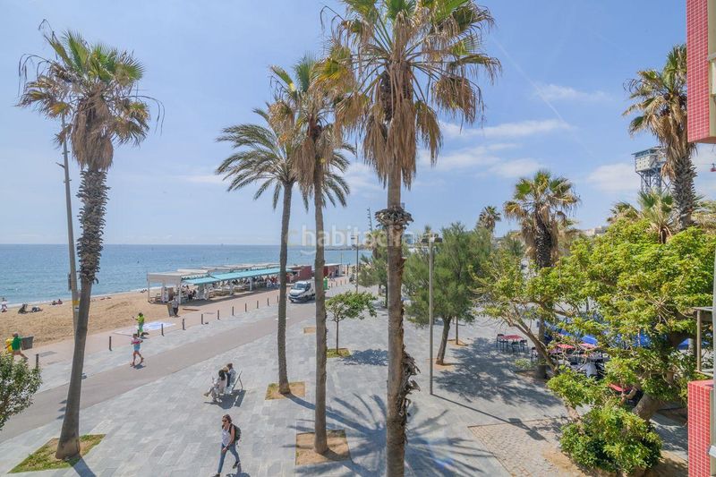 Foto ca9946d8-8fb4-4c57-aae6-6e417fc7872d. Pis a Barceloneta Barcelona