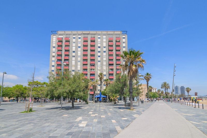 Foto cd5d9064-e522-494e-9c63-b3ab12b4ad7f. Pis a Barceloneta Barcelona