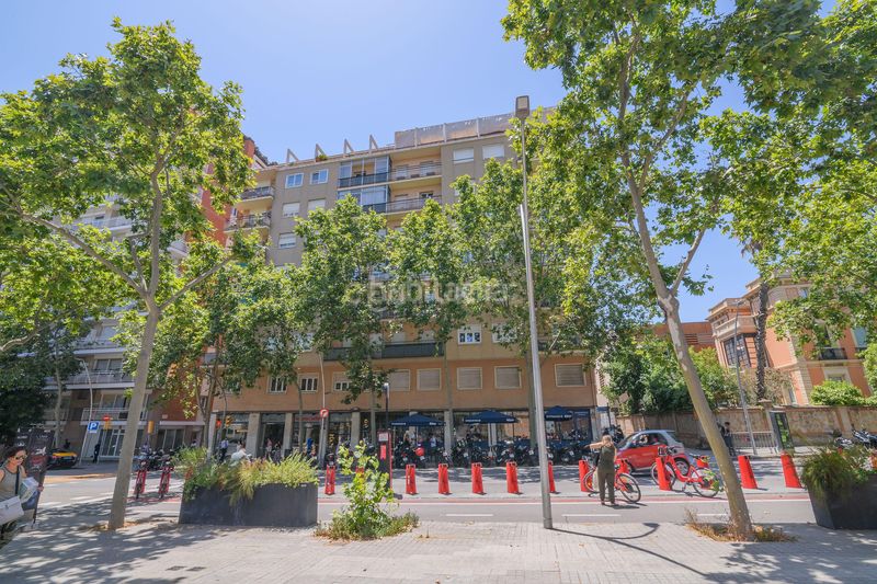 Foto 5f6e347a-dc83-4693-bb32-cc04a5437f06. Pis a Barri de les Corts Barcelona