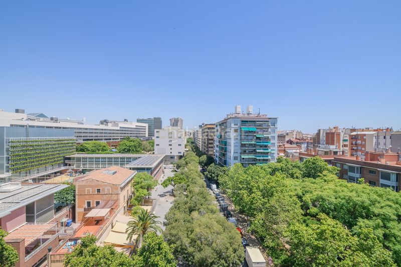 Foto fa893dd4-5a3f-40a2-a887-ce34482f4199. Pis a Barri de les Corts Barcelona