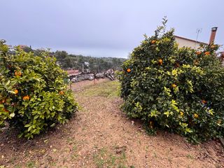 Fondo rustico in Castellnou-Can Mir-Can Solà. Terreno en venta en rubí  construye la casa que siempre has imag