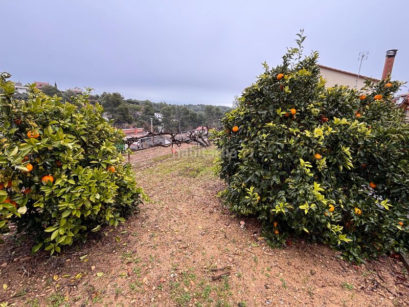 Foto cf0c94a1-be84-48fa-83b6-66babce78ce8. Finca rústica a Castellnou-Can Mir-Can Solà Rubí