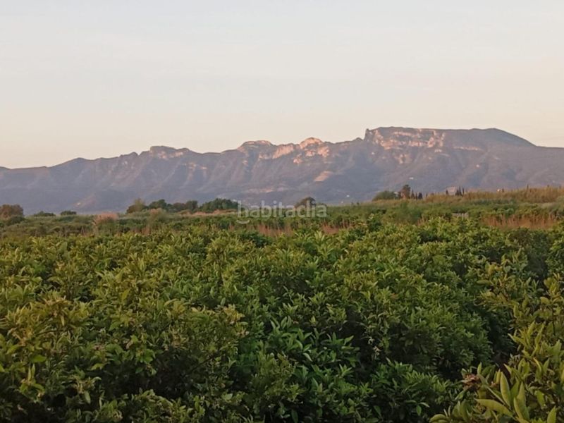 Foto a7547500-ed44-4558-b609-da340d963302. Masia a Sueca Sueca