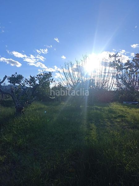 Foto cf0d882b-9f5a-4493-951d-b29dfe746253. Masia a Sueca Sueca