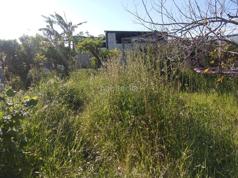 Foto da2d2092-518d-4b29-8a43-efd3ee64bf8d. Masia a Sueca Sueca