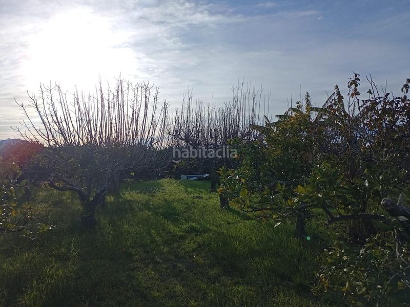 Foto e52c4ebe-4c54-4cc9-b16f-cc724366878f. Masia a Sueca Sueca