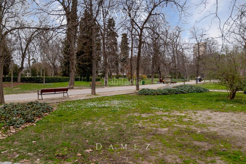 Foto be0c35d0-fcc3-4884-84b0-41e879484717. Pis a Estrella Madrid