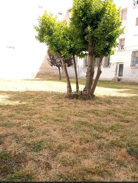 Foto 61c05a29-4b4a-4eff-b952-cbeb05a12a09. Estudio en calle san josé de calasanz 23 estudio con encanto en Logroño