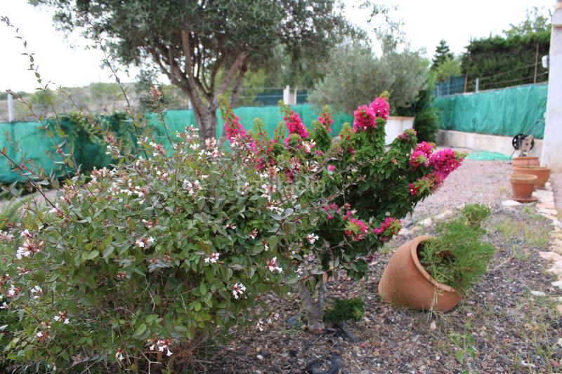 Foto 4795893f-b7f6-4712-be4d-955dcd24366f. Chalet avec cheminée parking piscine dans Canteras Cartagena