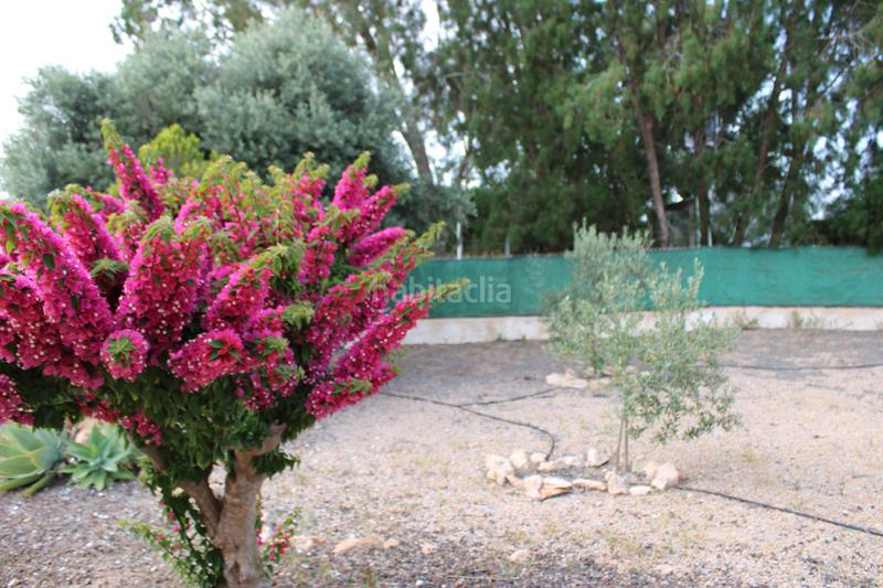 Foto c74465f6-bddb-47f8-a8bc-baa2611b39a5. Chalet avec cheminée parking piscine dans Canteras Cartagena