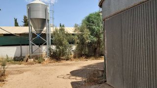 Nau industrial a La Pinilla - Las Palas. Terreno rustico en venta en las palas (cartagena)