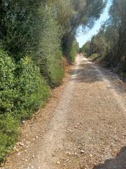Terreno residencial en Felanitx Poble