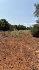 Terreno residenziale in Felanitx Poble