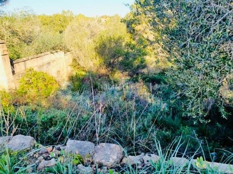 Foto 8437fa63-83f3-47e3-8346-29286d1cb09c. Wohngrundstück in Cala Murada Manacor