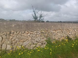 Rural plot in Felanitx Poble. Parcela edificable con vistas a san salvador