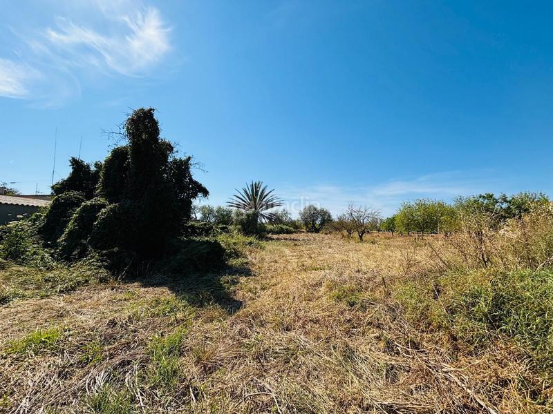 Foto 0c725420-7dd1-44bb-9c9e-398808bbf395. Rural plot in Porreres