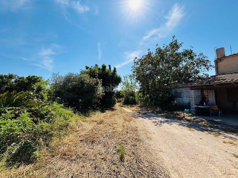 Foto 307965af-c8e5-4cc7-858f-6123fa6fc170. Rural plot in Porreres