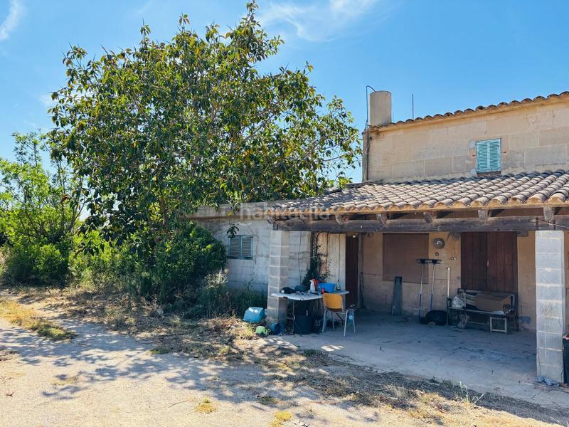 Foto 53b1acd0-cc0d-49dd-a943-0d875e39e756. Rural plot in Porreres