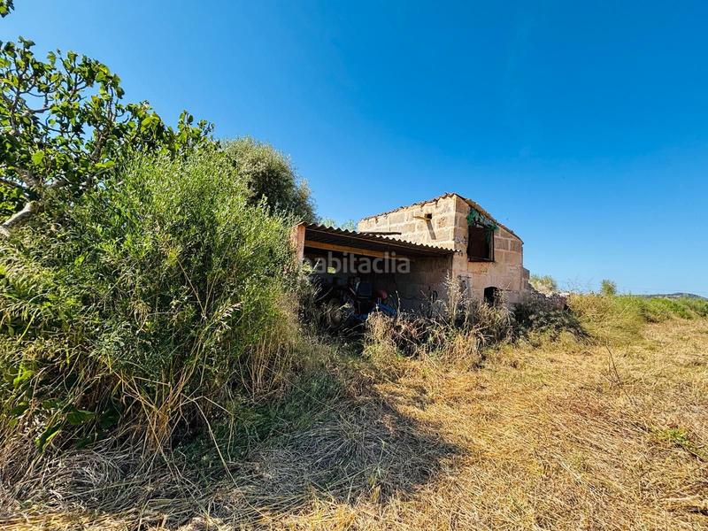 Foto 96f03397-4645-4079-a4b0-05fa3f47da99. Rural plot in Porreres
