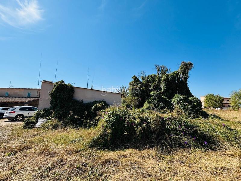 Foto b8b89187-42f7-4d2f-9086-a3d37f2d0f04. Rural plot in Porreres