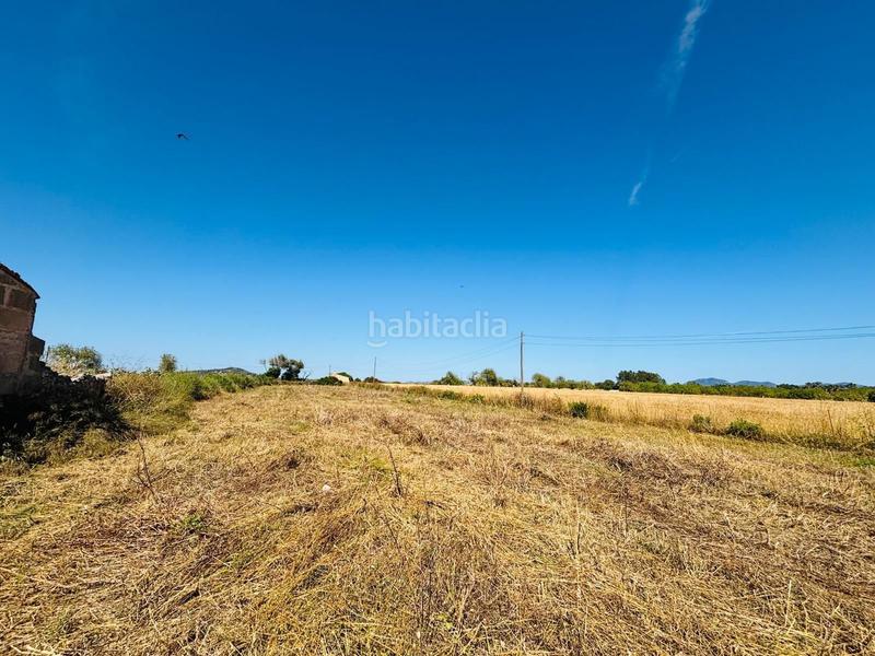 Foto b9b78c25-e801-423d-ad91-609697ccac5e. Rural plot in Porreres