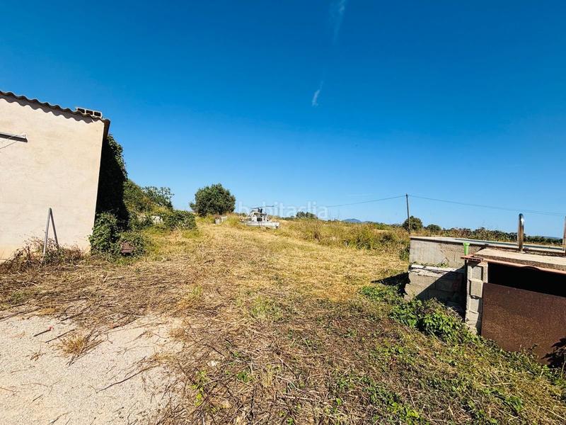 Foto c4be5f37-89b9-4544-a6f3-41cdbe4314c9. Rural plot in Porreres