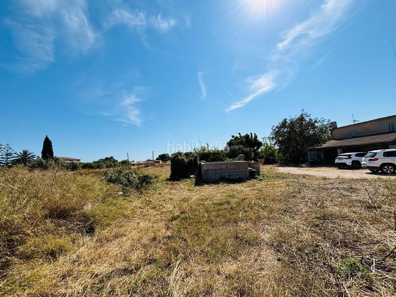 Foto c6bb9dcf-739a-48c7-a010-663d769631d7. Rural plot in Porreres