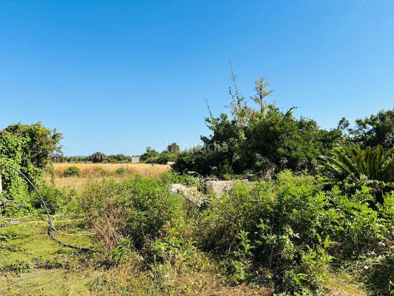 Foto d4722bdc-b98e-4cf0-8858-6257706ac2f4. Rural plot in Porreres