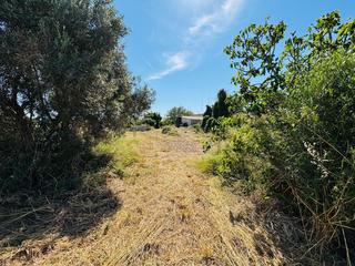 Finca rústica a Porreres. Gran oportinidad