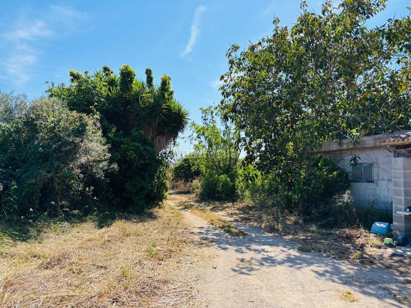 Foto ff46b547-d3ca-482d-a2d7-274cb5f7f6ce. Rural plot in Porreres