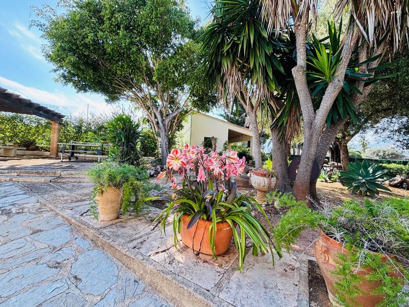 Foto 14cd6b98-9c77-4b80-9042-b312ce50eb98. Casa con riscaldamento piscina in Cala Murada Manacor