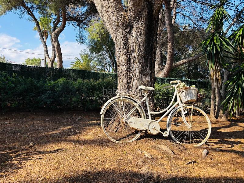 Foto 22ad1b38-61c2-4b98-91ae-7d020b359563. Casa con riscaldamento piscina in Cala Murada Manacor