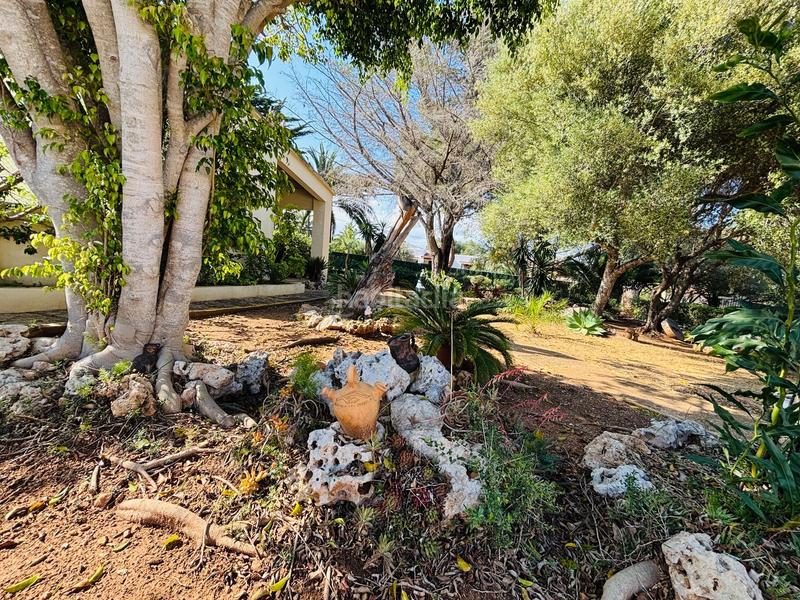 Foto 28959dc8-fba4-4eef-ab95-118211af3142. Casa con riscaldamento piscina in Cala Murada Manacor