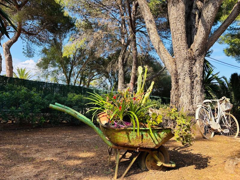 Foto a6bdecb7-1f55-4836-ba71-5fb55e5f3a58. Casa con riscaldamento piscina in Cala Murada Manacor