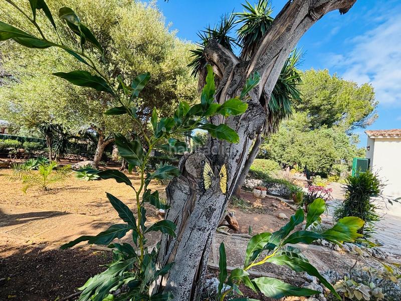 Foto aed215d9-728f-4d24-b4b6-60c34a349c12. Casa con riscaldamento piscina in Cala Murada Manacor