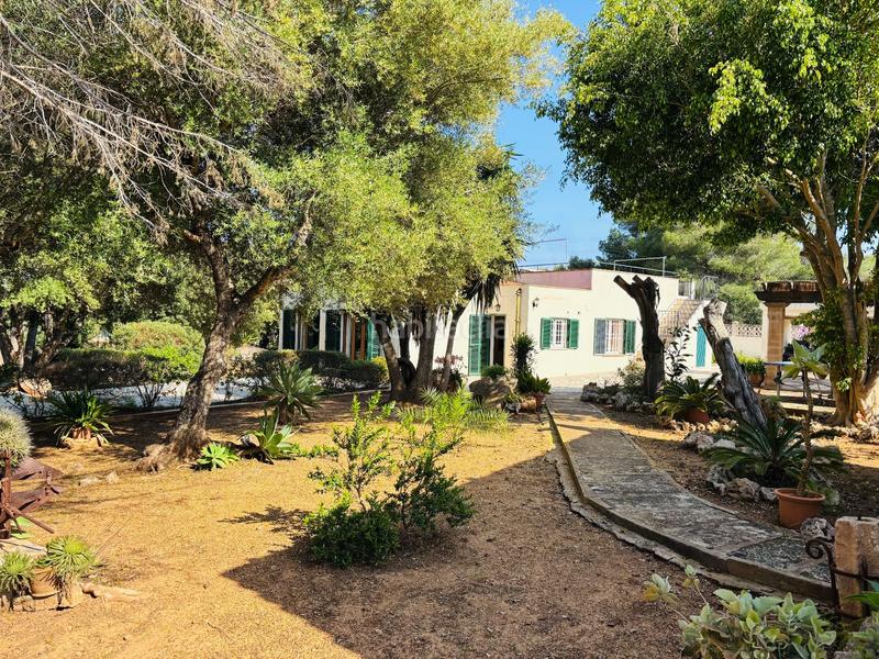 Foto b339bc0d-9af9-4896-bba4-8b889d9cbcd1. Casa con riscaldamento piscina in Cala Murada Manacor