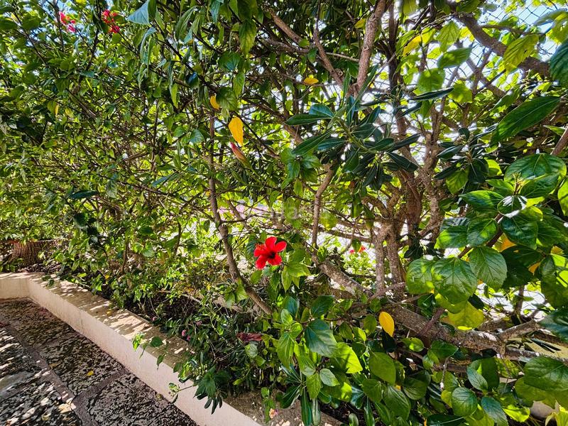 Foto f18feb99-b6cf-4a69-bdb8-f8c2dd5df0f4. Casa con riscaldamento piscina in Cala Murada Manacor