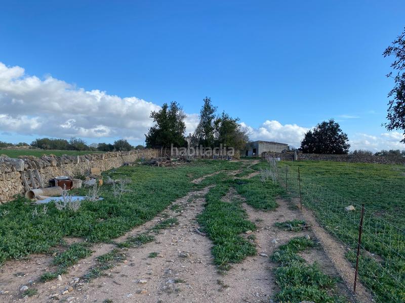 Foto 254d9c8d-8dbf-4507-9782-8e98e67da9e4. Terreny residencial a Manacor centre Manacor