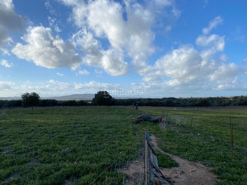 Foto 9b5ff04f-12e2-45db-9802-aa1f79ffb00b. Terreny residencial a Manacor centre Manacor