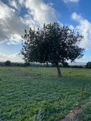 Residential Plot in Manacor Centre. Gran oportunidad con vistas hermosas