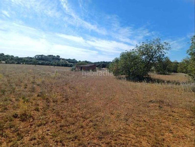 Foto ccb27099-3c11-4c2b-9eeb-a5bd31909a3f. Terreno residenziale in Felanitx poble Felanitx