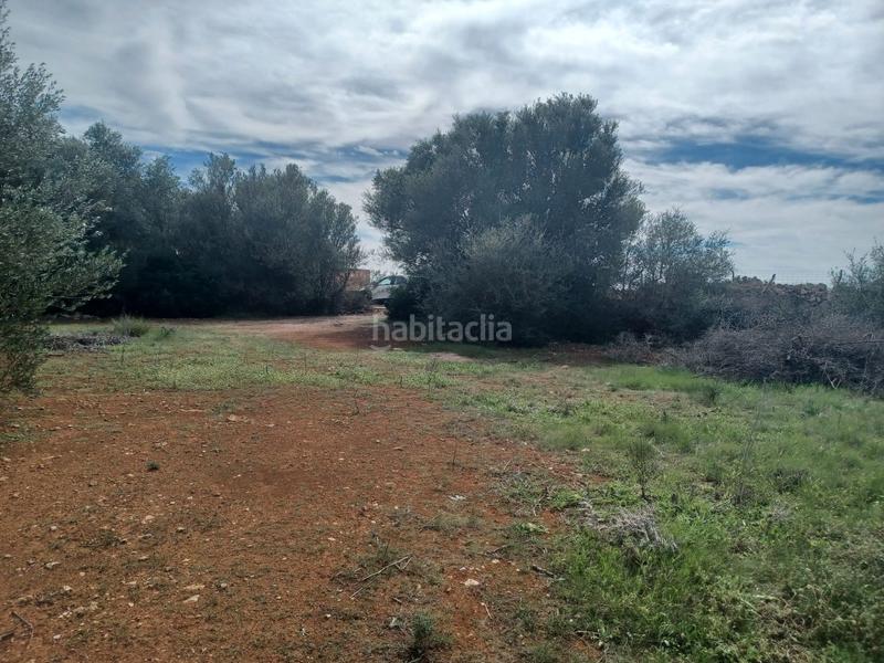 Foto 2ad092c5-efba-4d35-94ac-35f641680198. Finca rústica oportunidad en Felanitx poble Felanitx