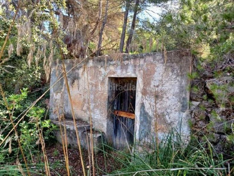 Foto 39bfa753-0229-4ffa-8615-172ef9bf8fe2. Terreno residenziale in Felanitx poble Felanitx