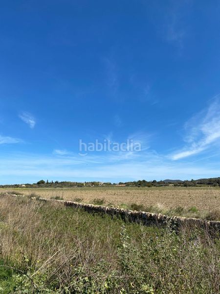 Foto 3d01f6d7-71a7-460f-bee0-eafa33e93bc3. Terreno residencial finca edificable en Felanitx poble Felanitx