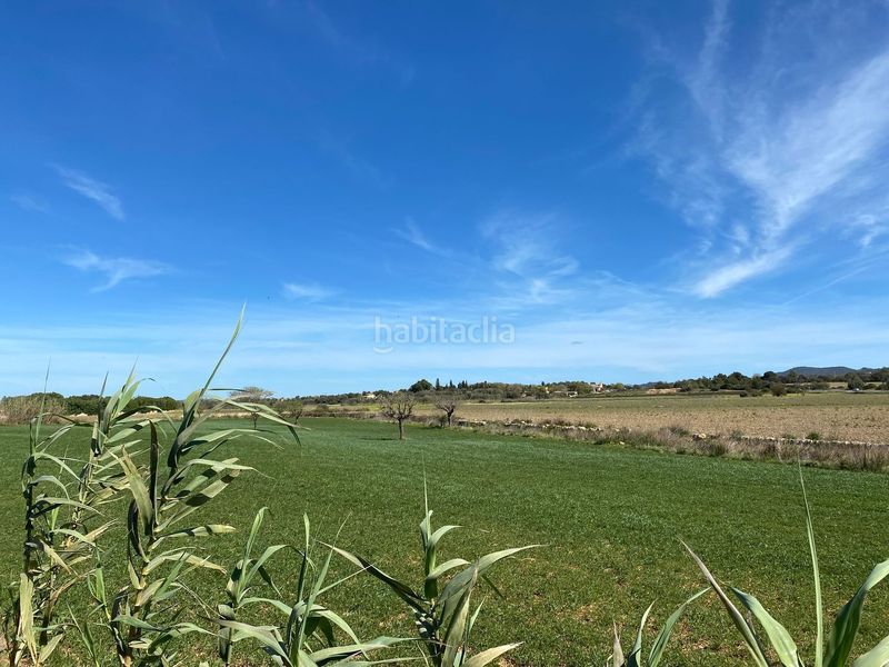 Foto 52271385-6830-48f3-aed1-de7d4e89de3a. Terreno residencial finca edificable en Felanitx poble Felanitx