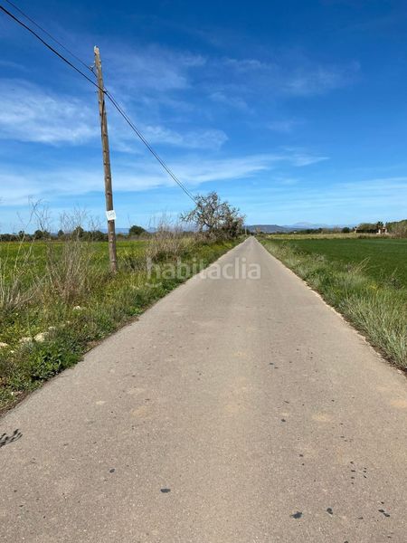 Foto c51519dd-f773-4eb2-bbbe-4d64ef04f92f. Terreno residencial finca edificable en Felanitx poble Felanitx